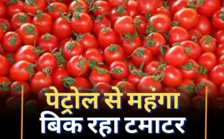 टमाटर के रेट पेट्रोल के भाव को भी पीछे छोड़ गए, सरकार से राहत का कोई निर्देश नहीं