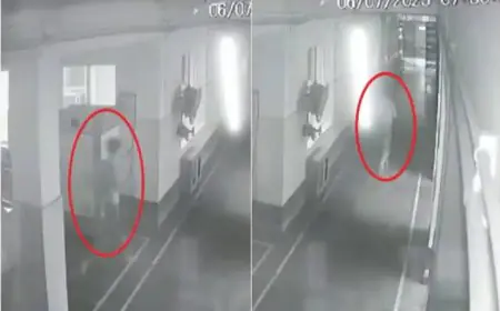 महिला से पर्स लूट और दारोगा को घायल करने वाला आरोपी पुलिस कस्टडी से फरार  3 पुलिसकर्मी सस्पेंड