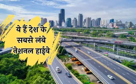 Indian Long National Highway: ये हैं देश के सबसे लंबे नेशनल हाईवे, इतने शहरों से होकर गुजरता है