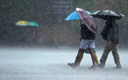 Aaj Ka Mausam : बारिश का येलो अलर्ट जारी, यहां अब तक 6 लोगों की मौत