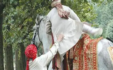 प्रेमी बना दूल्हा तभी पहुंची प्रेमिका, भरी महफिल में दिखाए प्रेम-प्रसंग के सुबूत