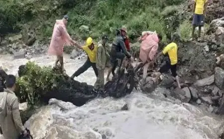 Mausam Ka Haal: हिमाचल में फंसे उप्र के 299 लोगों की हुई सुरक्षित वापसी