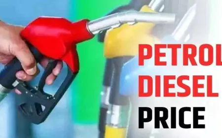 Petrol Diesel Price Today:  इस राज्य की सरकार ने बढाए डीजल के दाम, जानें क्या है वजह