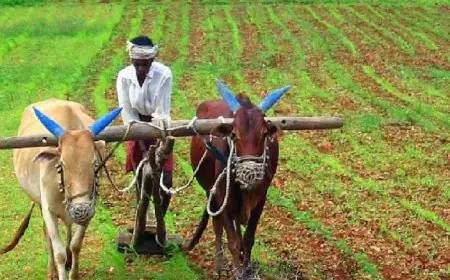 Kisan Yojna : किसानों के लिए खुशखबरी, जारी होगी पीएम किसान योजना की 14वीं किस्त
