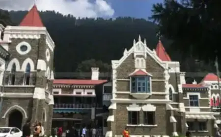 IPC की धारा 376  का कानून के हथियार की तरह दुरुपयोग कर रही है महिलाये: हाईकोर्ट