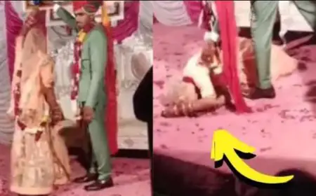 Viral Dance At Wedding: दूल्हे ने दुल्हन को नचाया, चक्कर खाकर स्टेज पर गिरी
