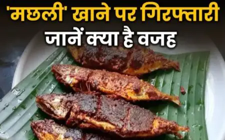 यमुना से मछली पकड़कर रिस्तेदारों में बांट कर खाने पर होगी जेल