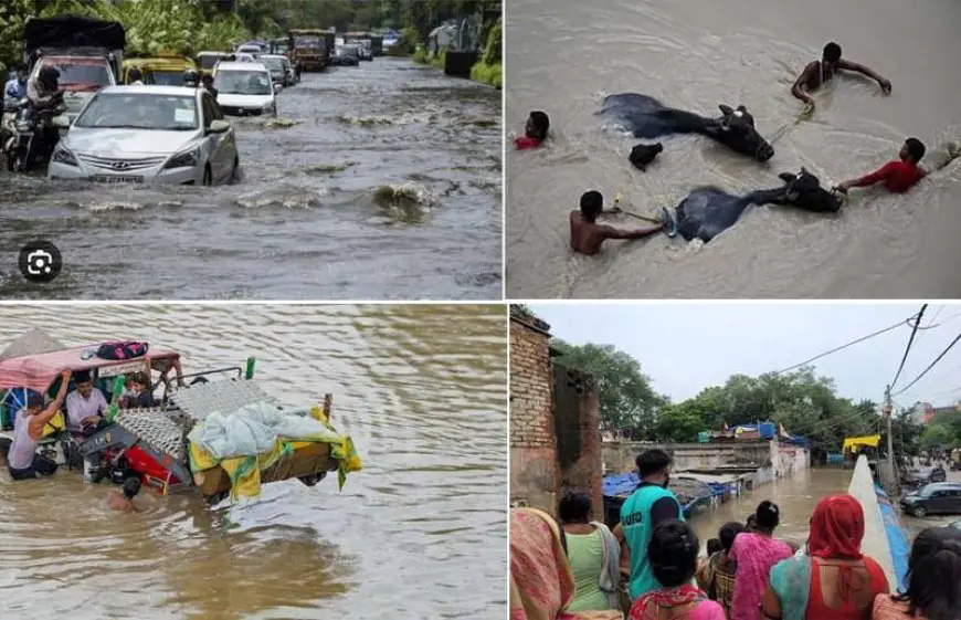 दिल्ली के कई इलाकों में बाढ़ का कहर, यमुना का बढ़ रहा जल स्तर