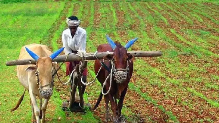 Kisan Yojna : किसानों के लिए खुशखबरी, जारी होगी पीएम किसान योजना की 14वीं किस्त