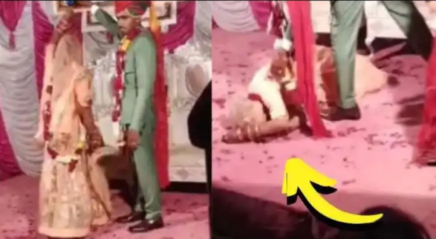 Viral Dance At Wedding: दूल्हे ने दुल्हन को नचाया, चक्कर खाकर स्टेज पर गिरी