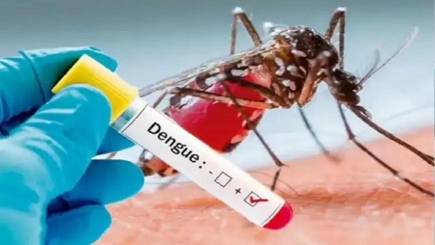 Dengue In Delhi: दिल्ली में बढ़ गई डेंगू के मरीजों की संख्या, टूटा 5 सालों के रिकार्ड