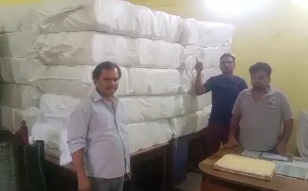 भारी मात्रा में प्रतिबंधित थर्माकोल प्लेट की झाले पकड़ी गई