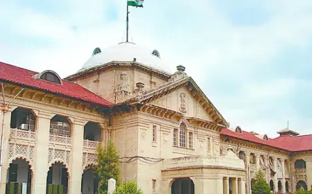 प्रेमी युगल में से कोई भी नाबालिग हो तो लिव इन रिलेशनशिप मान्य नहीं हाईकोर्ट