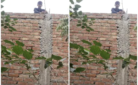हर घर तिरंगा अभियान के तहत हर घर को तिरंगे से सजाना हैः जियाउल हक