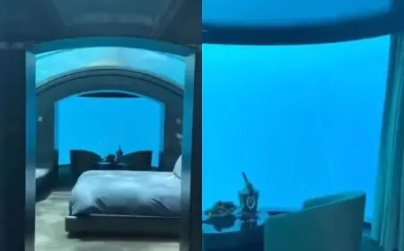 दुनिया पहला अंडरवॉटर होटल, काजल अग्रवाल समेत कई फ‍िल्‍मी हस्‍तियों ने जा चुकी यहाँ, लेकिन आनंद मह‍िंद्रा क्‍यों डरे