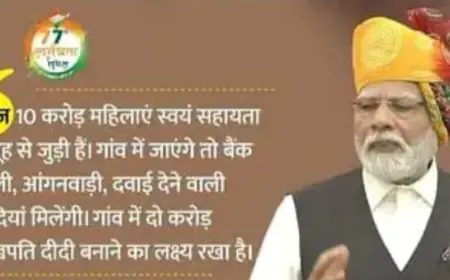 सरकार 'लखपति दीदी' योजना के तहत दो करोड़ महिलाओं के लिए कौशल विकास प्रशिक्षण  का मिलेगा लाभ