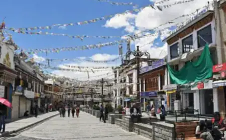 भाजपा नेता के बेटे ने बौद्ध महिला को भगाकर की शादी, बाप को मिली सजा