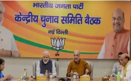 दिल्ली में BJP ने 7 लोकसभा सीटों के लिए प्रभारियों की घोषणा