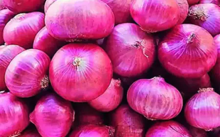 Onion Price Hiked: आपके शहर में किस रेट है प्याज, जाने देश मे प्याज का मूल्य