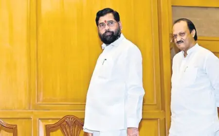 Sanjay Raut compares Ajit Pawar to a woodpecker, make a hole in Shinde's chair