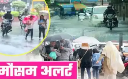 Weather today :  पांच दिनों तक जमकर बरसेंगे बादल, जाने अपने क्षेत्र का हाल