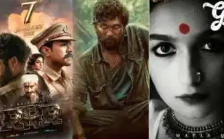 69th National Film Awards: फ़िल्म पुरुष्कारों की घोषणा, जाने किसे मिला अवार्ड