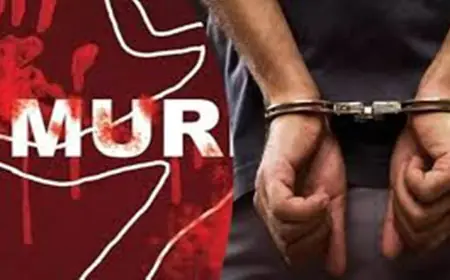 Son Kills Mother: मेरे लिए बहू नहीं ढूंढ शकी माँ सनकी बेटे ने पत्थर से कुचलकर मार डाला