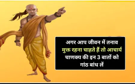 Aaj Ki Chanakya Niti : अगर आप जीवन में तनाव मुक्त रहना चाहते हैं तो  इन 3 बातों को गांठ बांध लें
