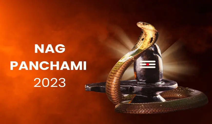 Nag Panchami 2023: 21 अगस्त को मनाया जाएगा नाग पंचमी का पर्व, जानिए इस दिन क्यों की जाती नागों की पूजा