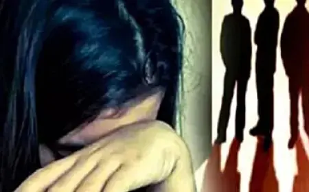 नोयडा मार्ट माल में लड़की पर चोरी का इल्जाम तलाशी के नाम पर खुलेआम उसके अंगों को छेड़ा गया, मैनेजर सहित 4 पर FIR