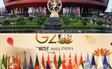 G 20 Summit schedule In Bharat Mandapam: भारत मंडपम में  आज  राष्ट्रप्रमुख वैश्विक मद्दों पर चर्चा करेंगे