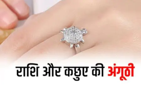 कछुए की अगूंठी पहनने से जाग जाता है भाग्य, इन राशियों वाले न पहनें
