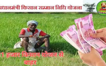 PM Kisan Samman Nidhi Scheme:  किसान सम्मान योजना से 81 हजार लाभार्थी हुए बाहर , जाने किसे मिलेगा लाभ