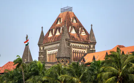 तुम पागल हो, क्या तुम्हें अक्ल नहीं है? पत्नी से अब ऐसी बात करी तो खैर नहीं, हाईकोर्ट की चेतावनी