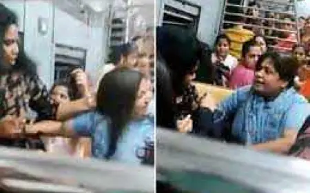 Viral Video : महिला ने ट्रैन में किया सीट के लिए झगड़ा, जानिए पूरा मामला