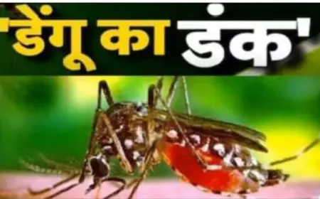 सर्दी जुखाम के साथ बुखार डेंगू का कहर जारी घर घर पड़ी चारपाई