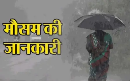 Mausam News:  दिल्ली में हफ्ते भर बारिश का अलर्ट,भीषण गर्मी  से मिलेगी राहत