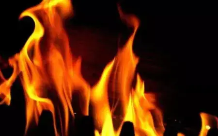 बेनिन में ईंधन डिपो में विस्फोट से कम से कम 35 लोगों की मौत