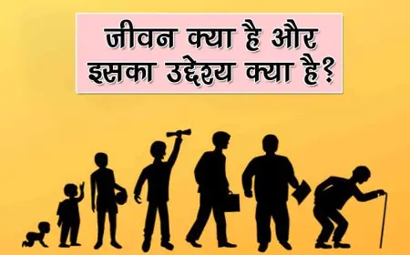 विषय आमंत्रित रचना -दाम्पत्य जीवन