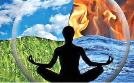 प्रकृति के विपरीत  नहीं हो सकती सुख की रीत