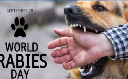 Vishva rabies Day : जाने क्यों मनाया जाता है विश्व रेबीज डे