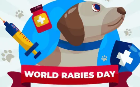 World Rabies Day 2023 : सिर्फ कुत्तो के काटने से नहीं फैलता रेबीज रोग ये जानवर भी फैलाते है संक्रमण