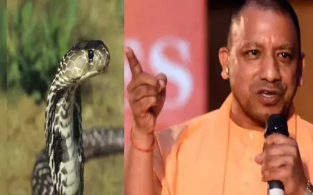 उत्तर प्रदेश में सर्पदंश के बढ़ते मामले को लेकर यूपी सरकार सतर्क
