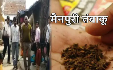 मैनपुरी के कुरावली में खुलेआम बिक रहा नकली केसरिया तम्बाकू का जहर, प्रशासन सोया गहरी नींद