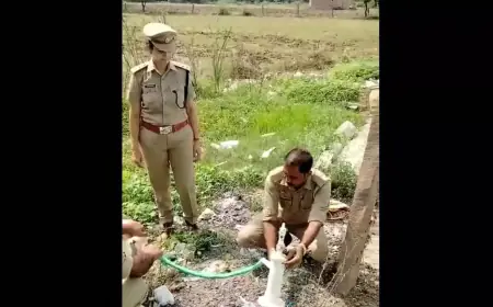 Viral Video: यहां हैंडपंप से निकलती है शराब! अगर विश्वास नहीं, तो खुद ही देख लीजिए