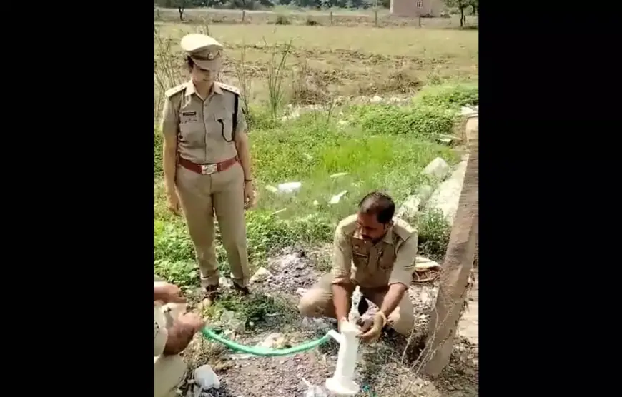 Viral Video: यहां हैंडपंप से निकलती है शराब! अगर विश्वास नहीं, तो खुद ही देख लीजिए