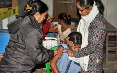 मलेरिया की नई वैक्सीन R21 को WHO ने दी मंजूरी, सीरम इंस्टीट्यूट ऑफ इंडिया में होगी तैयार