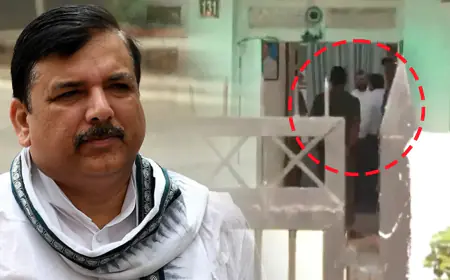 संजय सिंह की पत्नी अनिता सिंह का आरोप- ED के अधिकारी उन्हें गिरफ्तार करने के लिए काफी दबाव में थे