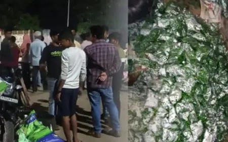 एफएसडीए की छापेमारी,एक कुंतल रंगीन हरी मटर की नष्ट