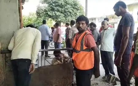 मुख्यमंत्री पोर्टल पर अतिक्रमण की शिकायत करने वाला ही सबसे बड़ा अतिक्रमणकारी निकला